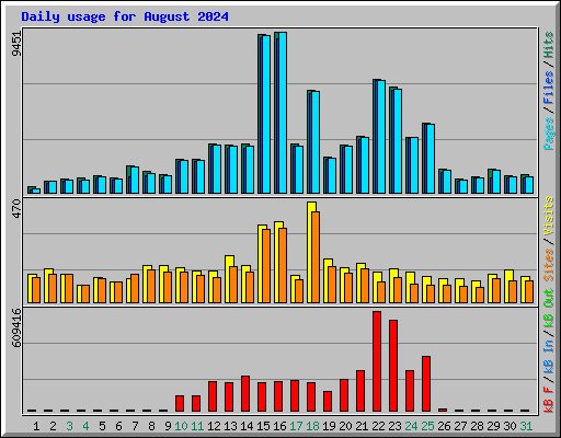 Daily usage for August 2024