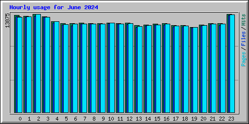 Hourly usage for June 2024