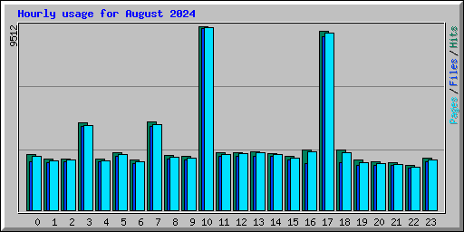 Hourly usage for August 2024