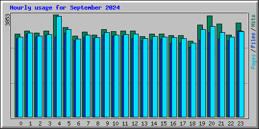 Hourly usage for September 2024